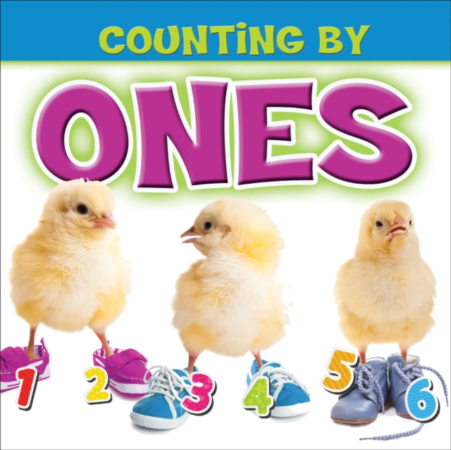 Counting by Ones, PDF eBook