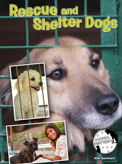 Rescue and Shelter Dogs, PDF eBook