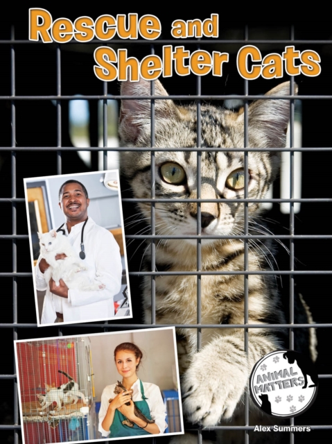 Rescue and Shelter Cats, PDF eBook