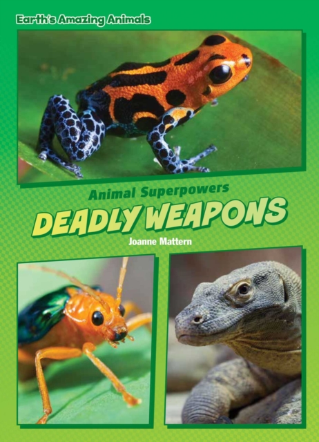 Deadly Weapons, EPUB eBook