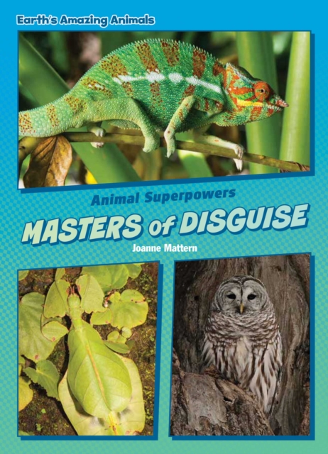 Masters of Disguise, EPUB eBook
