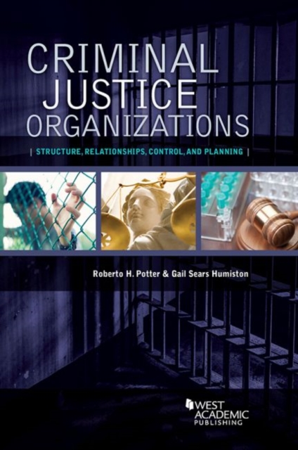 Criminal Justice Organizations : Structure, Relationships, Control, and Planning, Paperback / softback Book