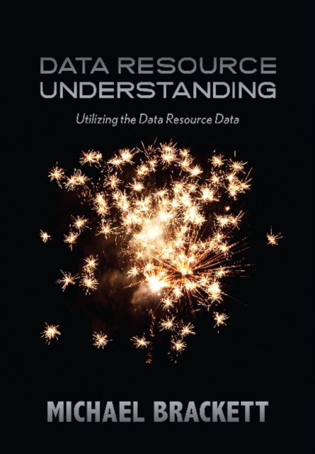 Data Resource Understanding : Utilizing the Data Resource Data, Paperback / softback Book