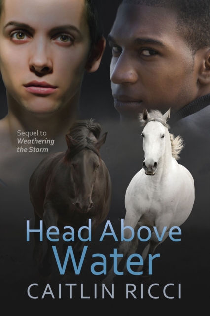 Head Above Water Volume 2, Paperback / softback Book