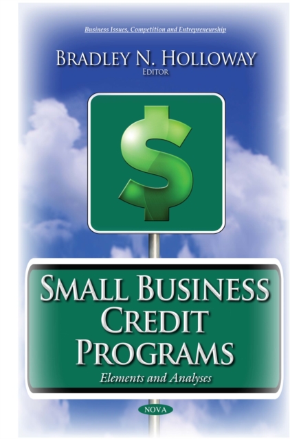 Small Business Credit Programs : Elements and Analyses, PDF eBook
