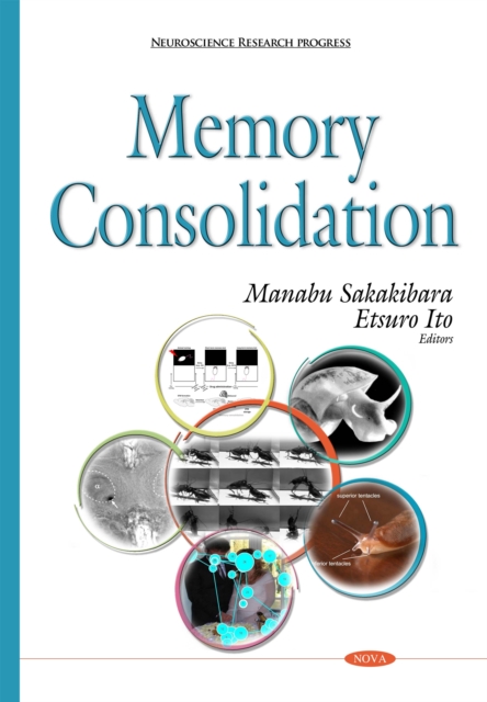 Memory Consolidation, PDF eBook