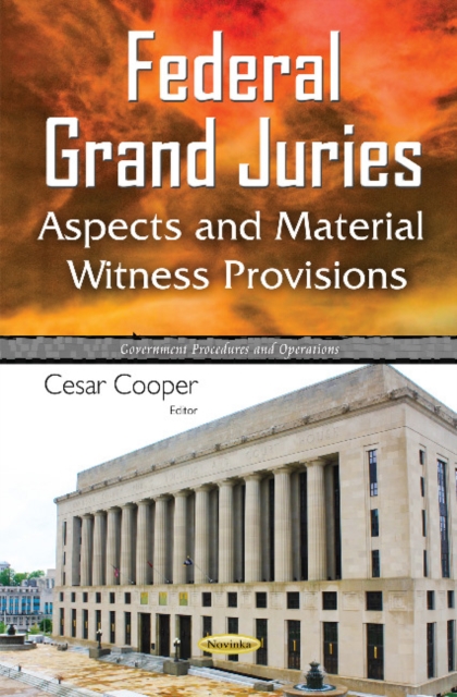 Federal Grand Juries : Aspects & Material Witness Provisions, Paperback / softback Book