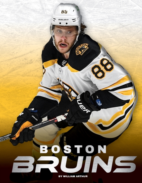Boston Bruins, Hardback Book