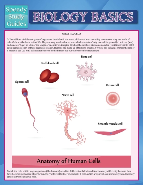 Biology Basics (Speedy Study Guide), Paperback / softback Book