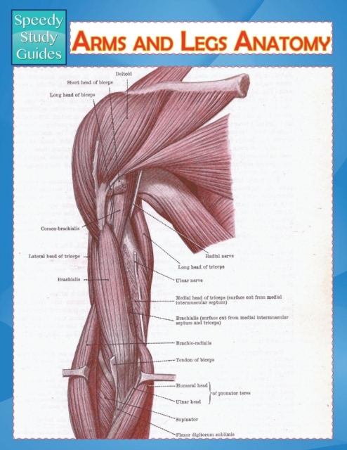 Arms and Legs Anatomy (Speedy Study Guide), Paperback / softback Book