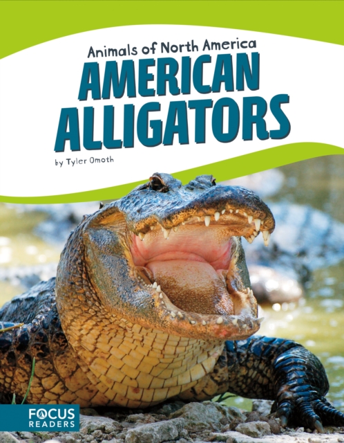 Animals of North America: American Alligators, Paperback / softback Book