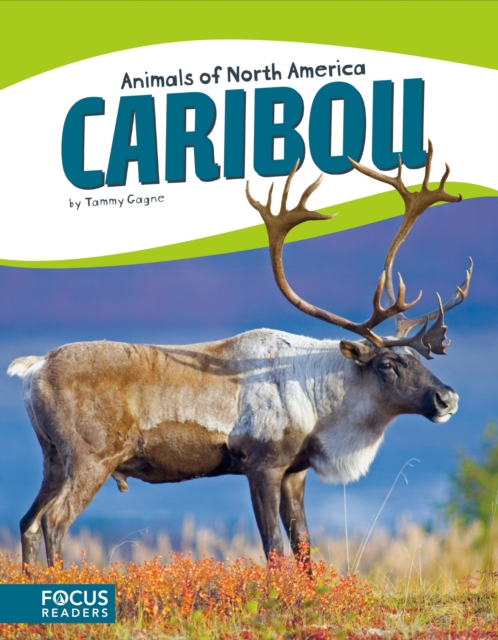 Animals of North America: Caribou, Paperback / softback Book