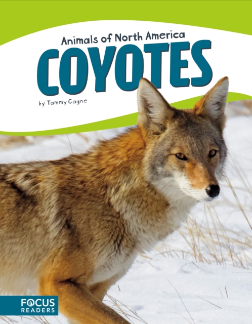Animals of North America: Coyotes, Paperback / softback Book