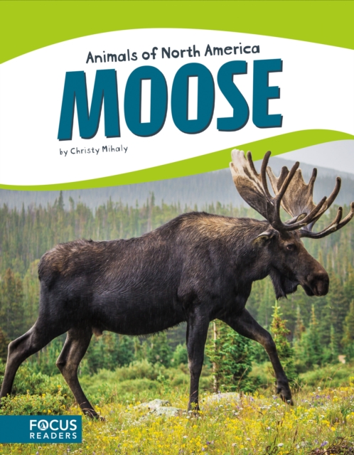 Animals of North America: Moose, Paperback / softback Book