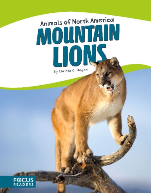 Animals of North America: Mountain Lions, Paperback / softback Book