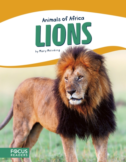 Animals of Africa: Lions, Paperback / softback Book