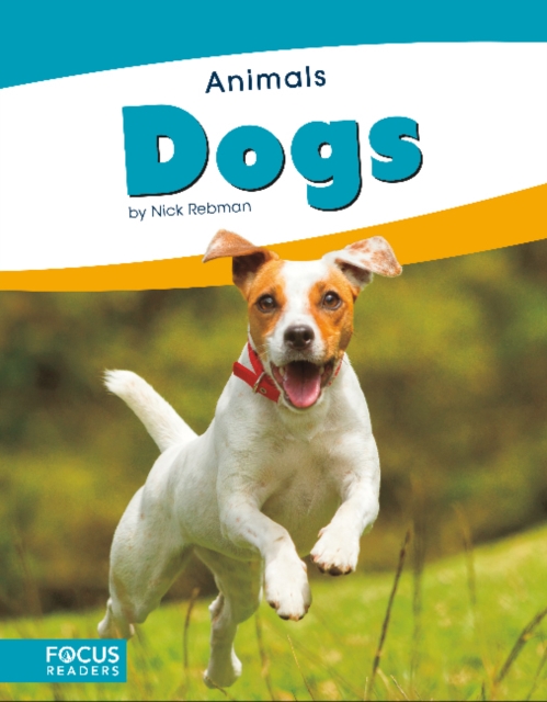 Animals: Dogs, Paperback / softback Book