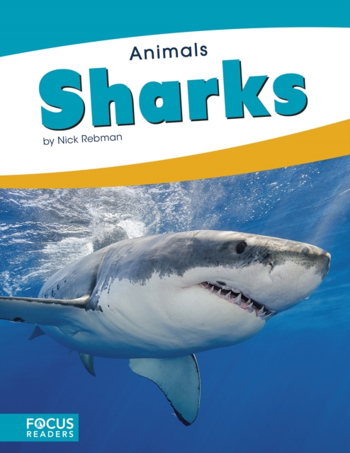 Animals: Sharks, Paperback / softback Book