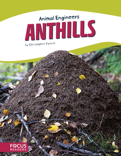 Animal Engineers: Anthills, Paperback / softback Book