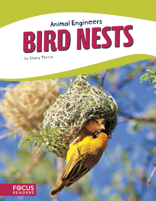Animal Engineers: Birds Nests, Paperback / softback Book