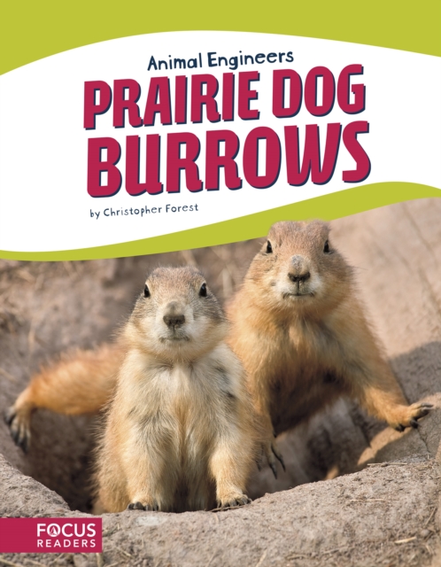 Animal Engineers: Prairie Dog Burrows, Paperback / softback Book