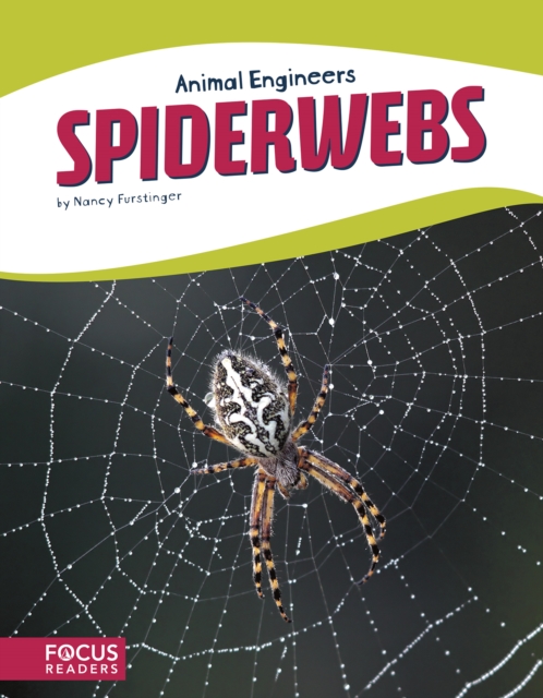 Animal Engineers: Spiderwebs, Paperback / softback Book