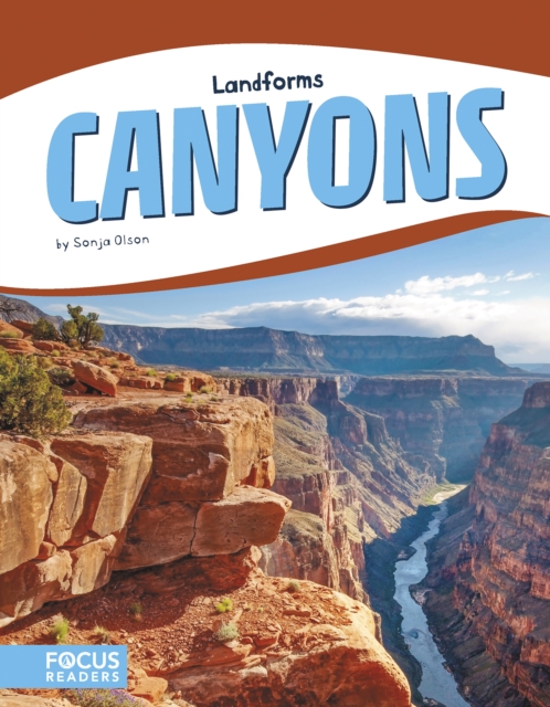 Landforms: Canyons, Paperback / softback Book