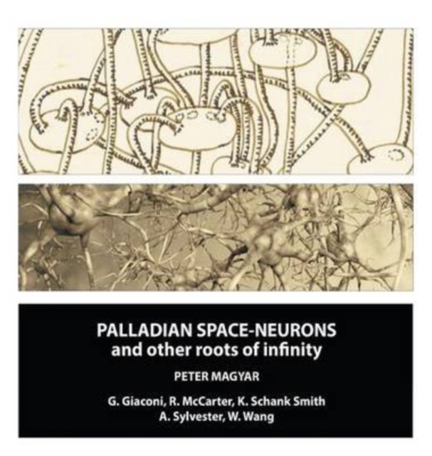 Palladian Space-Neurons and other Roots of Infinity, Hardback Book