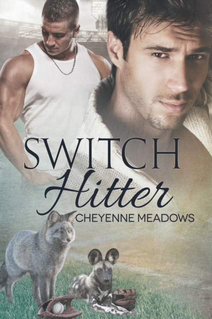 Switch Hitter Volume 3, Paperback / softback Book