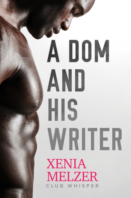 A Dom and His Writer Volume 1, Paperback / softback Book