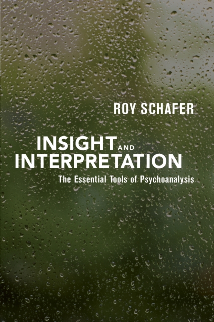 Insight and Interpretation, EPUB eBook