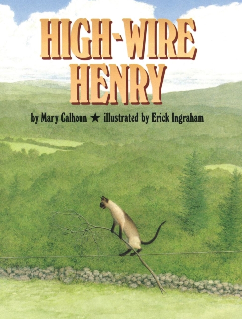 High-Wire Henry, Hardback Book