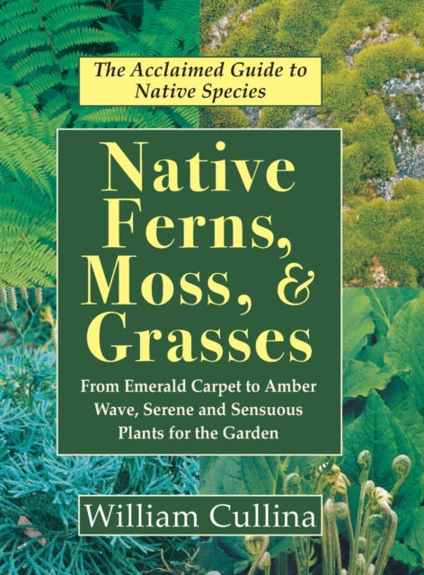 Native Ferns, Moss, and Grasses, Hardback Book