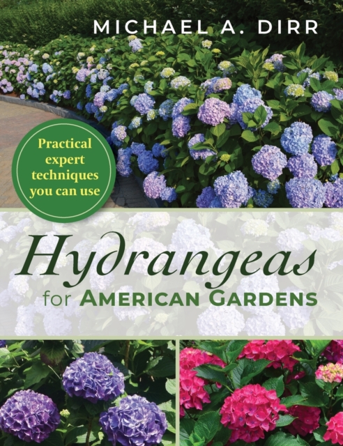 Hydrangeas for American Gardens, Hardback Book