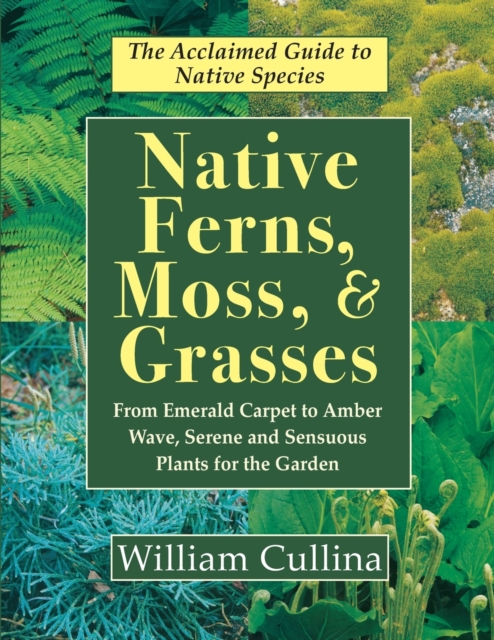 Native Ferns, Moss, and Grasses, Paperback / softback Book