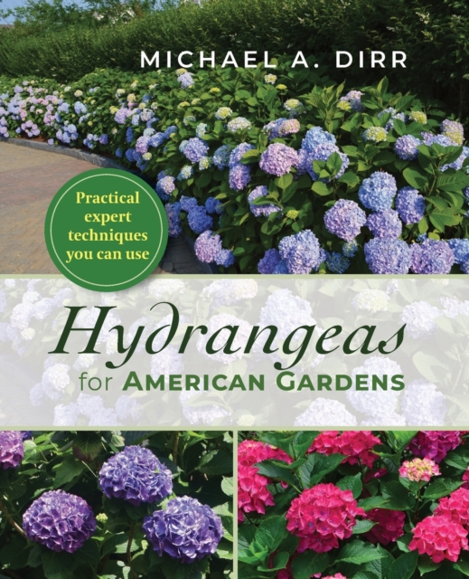 Hydrangeas for American Gardens, Paperback / softback Book