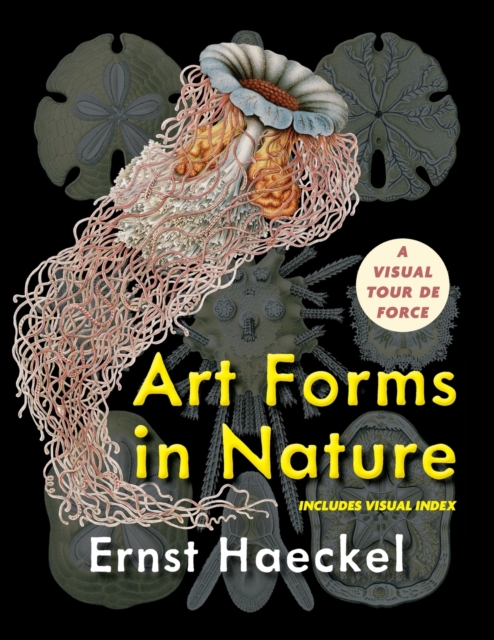 Art Forms in Nature (Dover Pictorial Archive), Paperback / softback Book