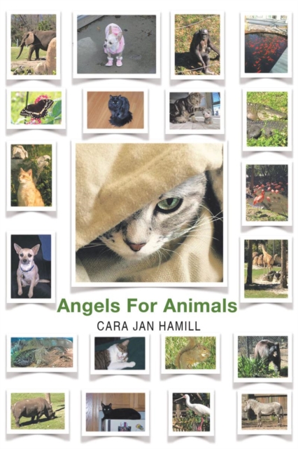 Angels for Animals, EPUB eBook