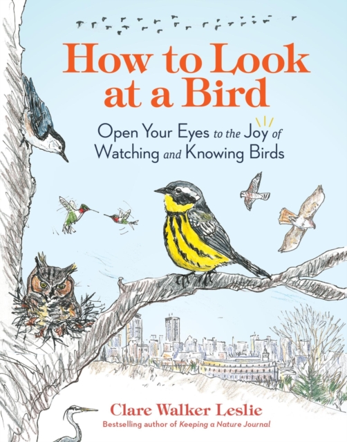 How to Look at a Bird : Open Your Eyes to the Joy of Watching and Knowing Birds, Paperback / softback Book