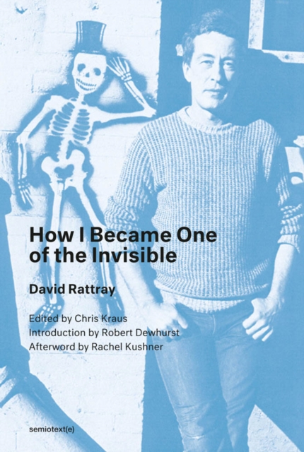 How I Became One of the Invisible, PDF eBook