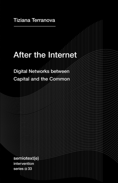 After the Internet : Digital Networks between the Capital and the Common, Paperback / softback Book