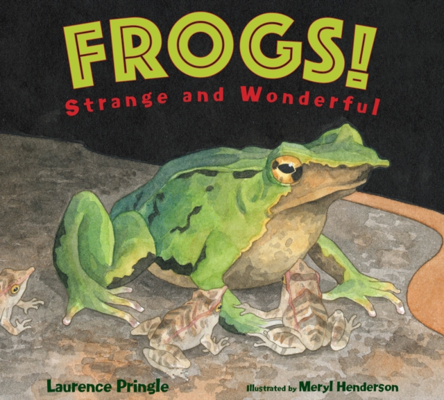 Frogs!, Paperback / softback Book