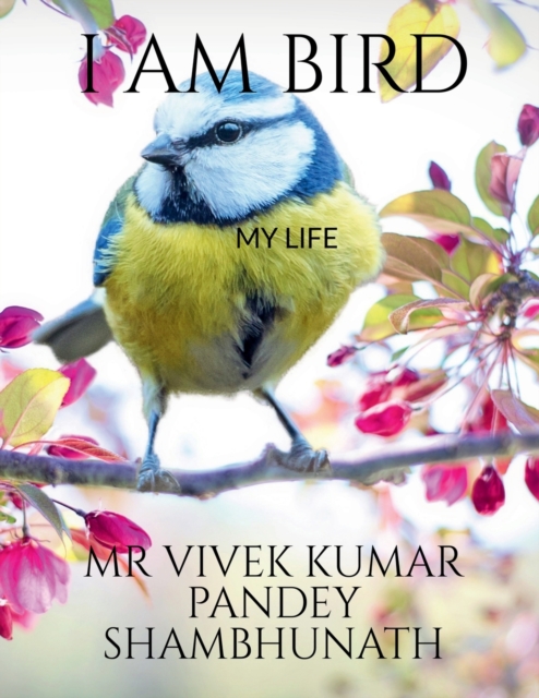 I Am Bird, Paperback / softback Book