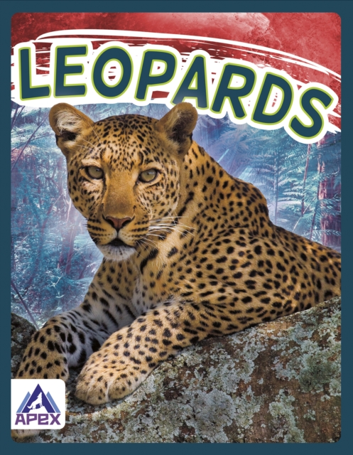 Wild Cats: Leopards, Hardback Book