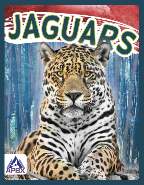 Wild Cats: Jaguars, Paperback / softback Book