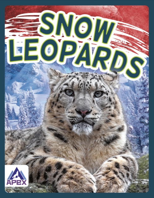 Wild Cats: Snow Leopards, Paperback / softback Book