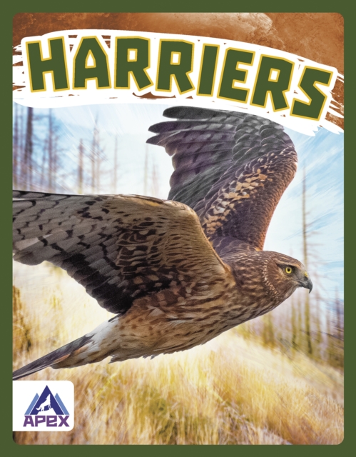 Birds of Prey: Harriers, Hardback Book