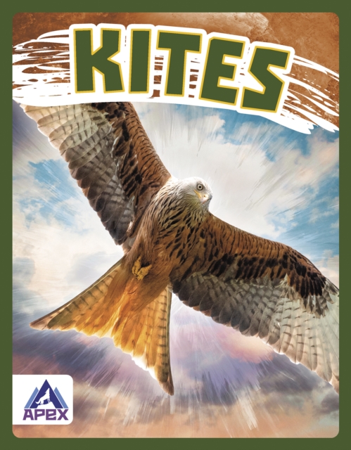 Birds of Prey: Kites, Hardback Book