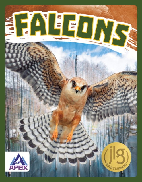 Birds of Prey: Falcons, Paperback / softback Book