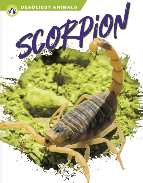 Deadliest Animals: Scorpion, Paperback / softback Book